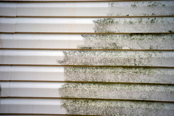 Best Historical Building Siding Restoration  in West Swanzey, NH